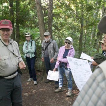 SFN Mushroom-Fern Outing 9151