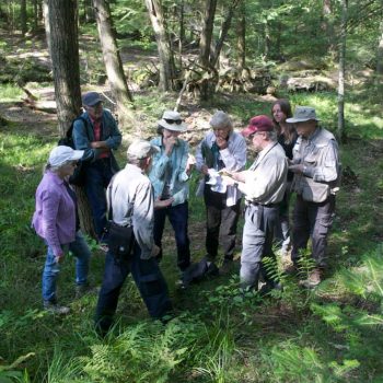 SFN Mushroom-Fern Outing 9155