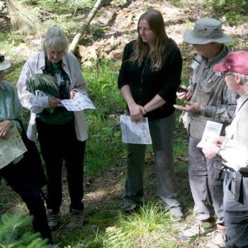 SFN Mushroom-Fern Outing 9158
