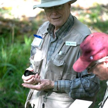 SFN Mushroom-Fern Outing 9165