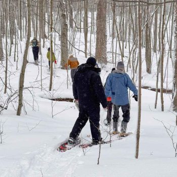 SN Kinghurst Forest hike_17Jan2026 655382