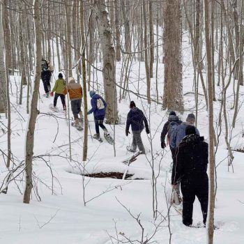 SN Kinghurst Forest hike_17Jan2026 655383