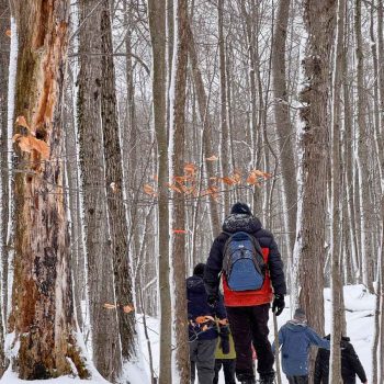 SN Kinghurst Forest hike_17Jan2026 655384