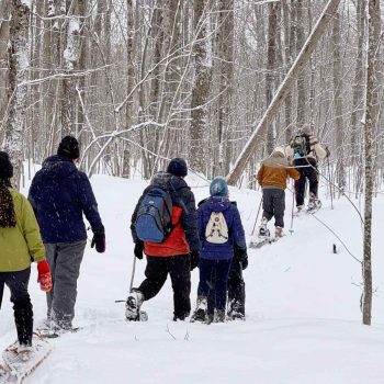 SN Kinghurst Forest hike_17Jan2026 655389