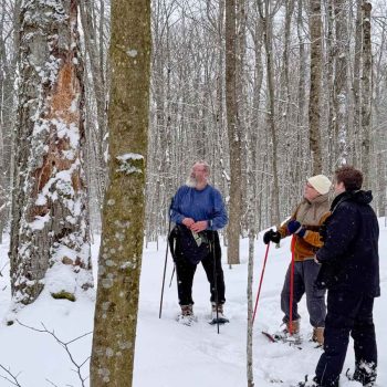 SN Kinghurst Forest hike_17Jan2026 655394