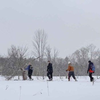 SN Kinghurst Forest hike_17Jan2026 655401
