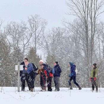 SN Kinghurst Forest hike_17Jan2026 655408