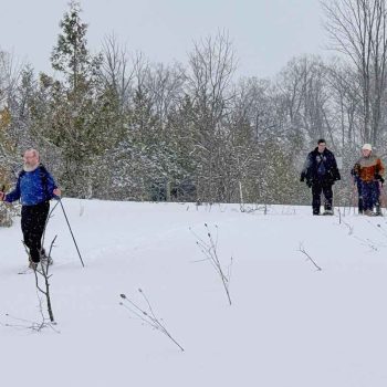 SN Kinghurst Forest hike_17Jan2026 655410-