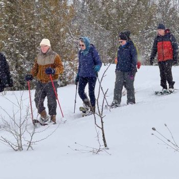 SN Kinghurst Forest hike_17Jan2026 655413
