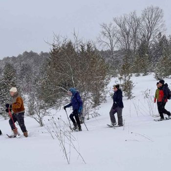 SN Kinghurst Forest hike_17Jan2026 655417