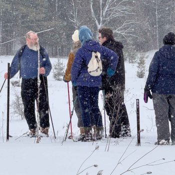 SN Kinghurst Forest hike_17Jan2026 655421