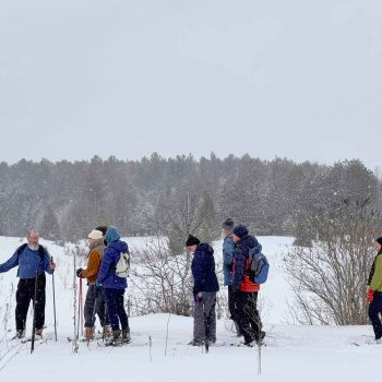 SN Kinghurst Forest hike_17Jan2026 655426-