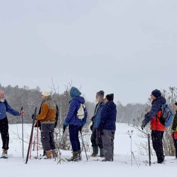 SN Kinghurst Forest hike_17Jan2026 655427-