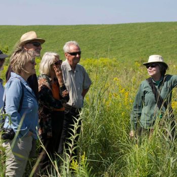 SN Prairie Grass 9673 photo by Gerard McNaughton