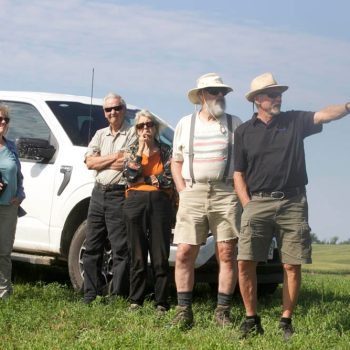 SN Prairie Grass getting the lay of the land 8931 photo by Gerard McNaughton