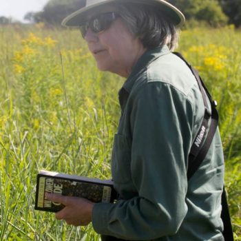 SN Prairie Grass identifiying the grasses 8946 photo by Gerard McNaughton