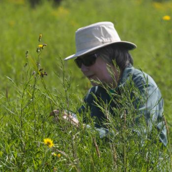 SN Prairie Grasses 8968 photo by Gerard McNaughton