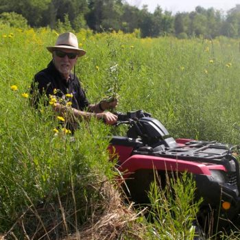 SN Prairie Grasses making a path 8964 photo by Gerard McNaughton