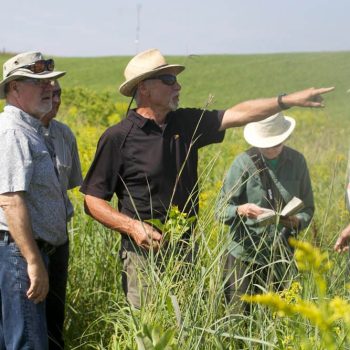 SN Prairie Grasses overview of the property 8959 photo by Gerard McNaughton