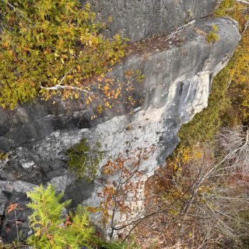 Photo by John Reaume