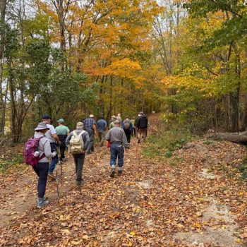 Photo by John Reaume