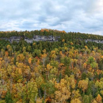 Photo by John Reaume