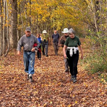 Photo by John Reaume