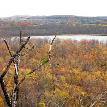 Photo by Doug Lonsdale