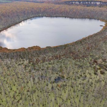 Photo by John Reaume