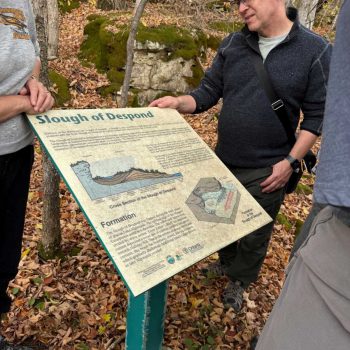 Photo by Scott Fairbairn